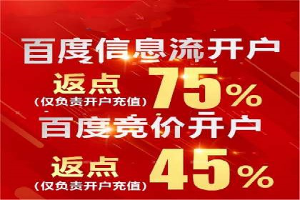 竞价推广策略：某电商平台的成功之路